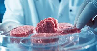 Daging Jamur atau Daging Sapi? April 2026, 'Rasa Lokal' Mengalahkan Teknologi Laboratorium